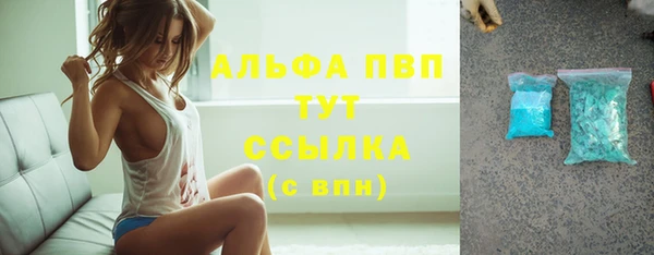 гидра Белокуриха