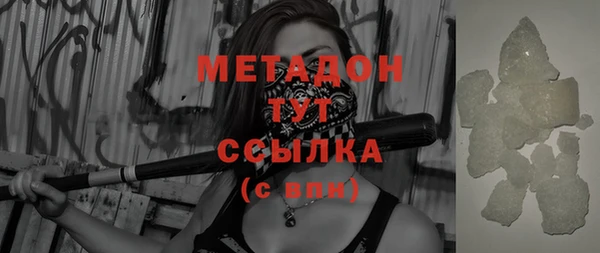 прущие грибы Богданович