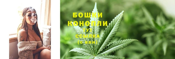 гашик Белоозёрский