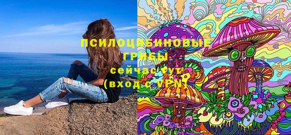 гашик Белоозёрский