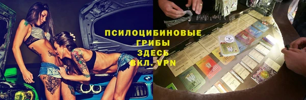 гашик Белоозёрский