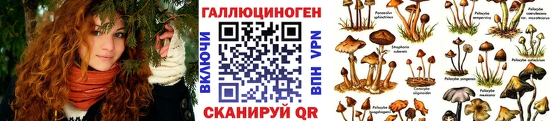 Псилоцибиновые грибы Magic Shrooms  цена   Морозовск 